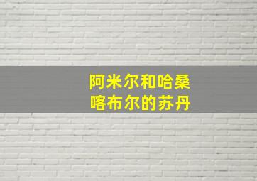 阿米尔和哈桑 喀布尔的苏丹